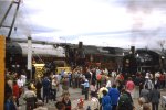 Expo 86 Railroad Displays